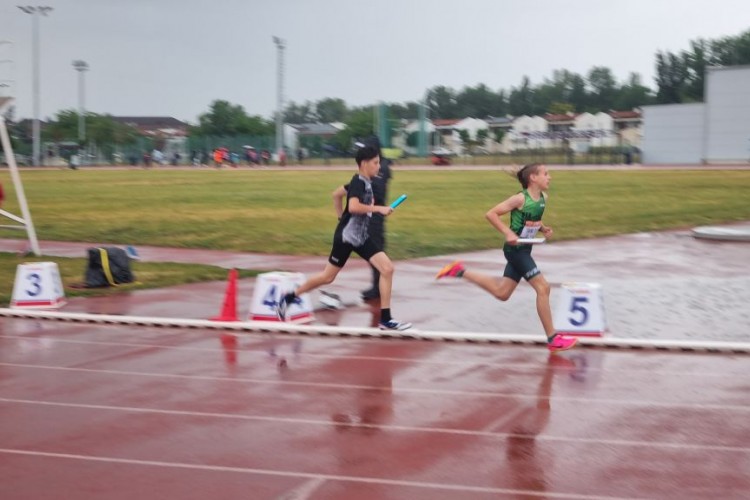 20260516_143910.jpg