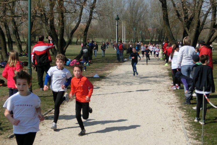 2015-március-sportXXI-mezei056.JPG